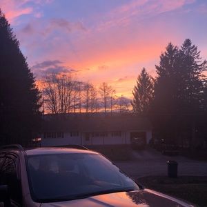 Meet your Posher, Bridget